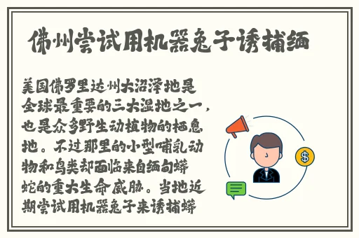 A片一区二区三区无码免费视频